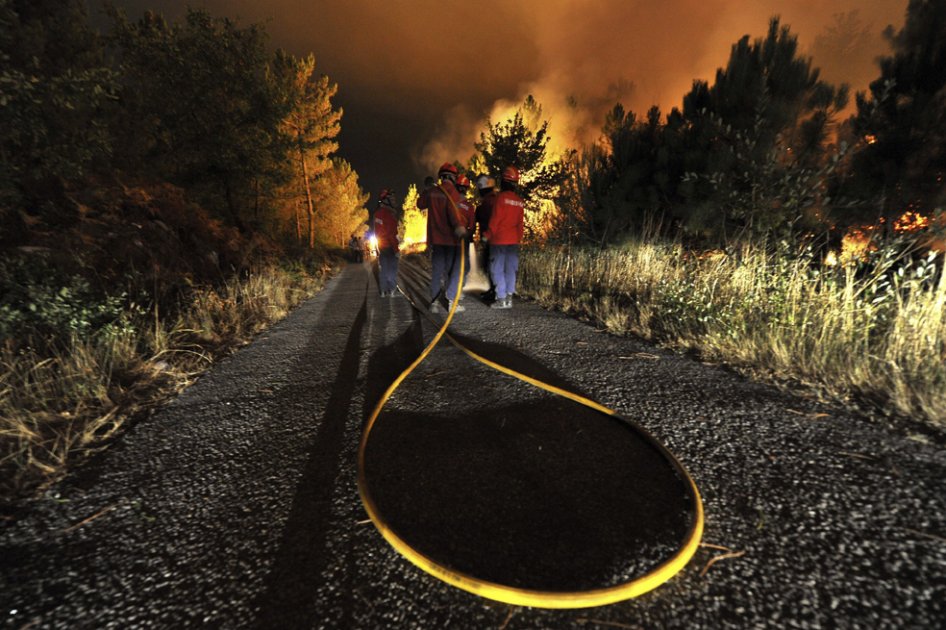 Un grupo de bomberos portugueses arrastra una manguera para extinguir las llamas en el incendio forestal declarado en el bosque de Silvares./ EFE
