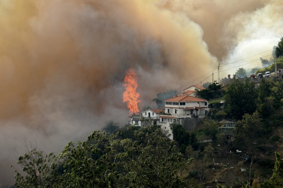 El gigantesco incendio forestal de Chile tuvo un costo de USD 26,5 millones
