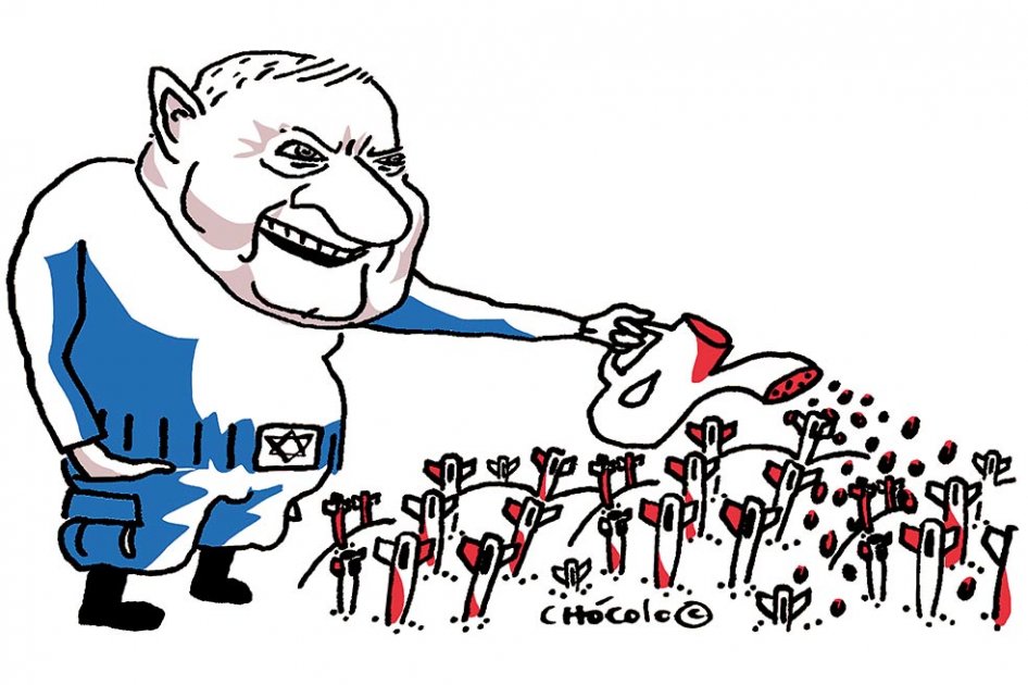 Chócolo