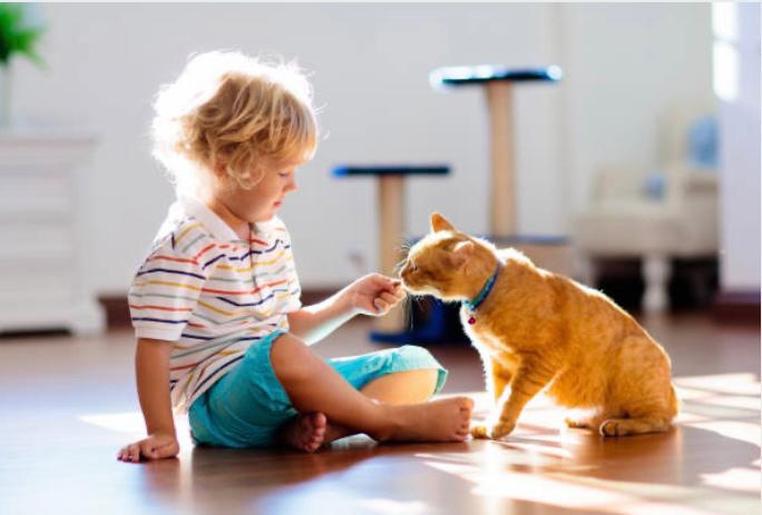 ¿Por qué es bueno tener un gato si hay niños en casa? Estos son algunos beneficios
