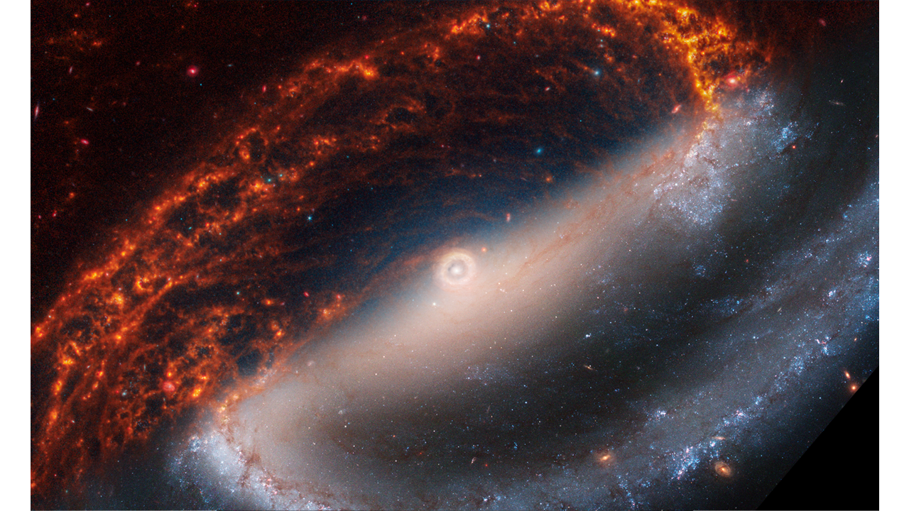 Las sorprendentes imágenes de 19 galaxias espirales capturadas por el James Webb