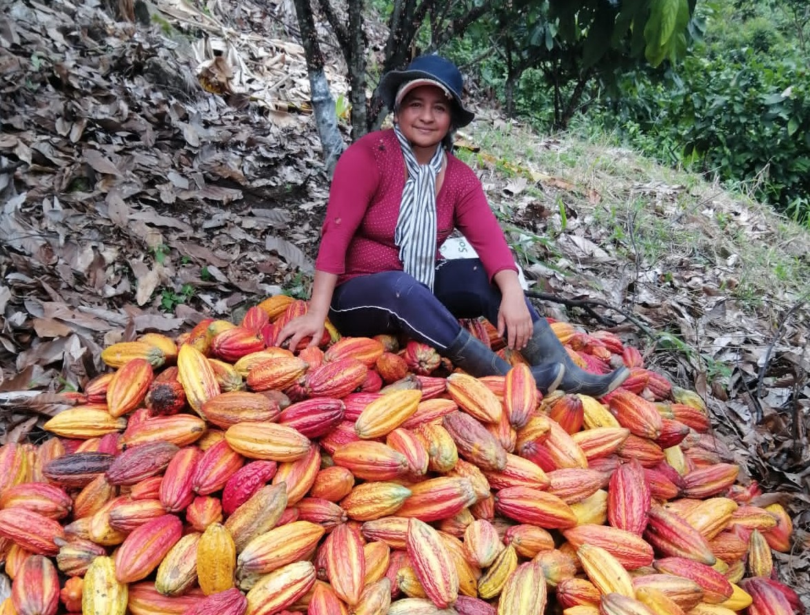Sin marketing, conservar la biodiversidad seguiría siendo un tema de los biólogos