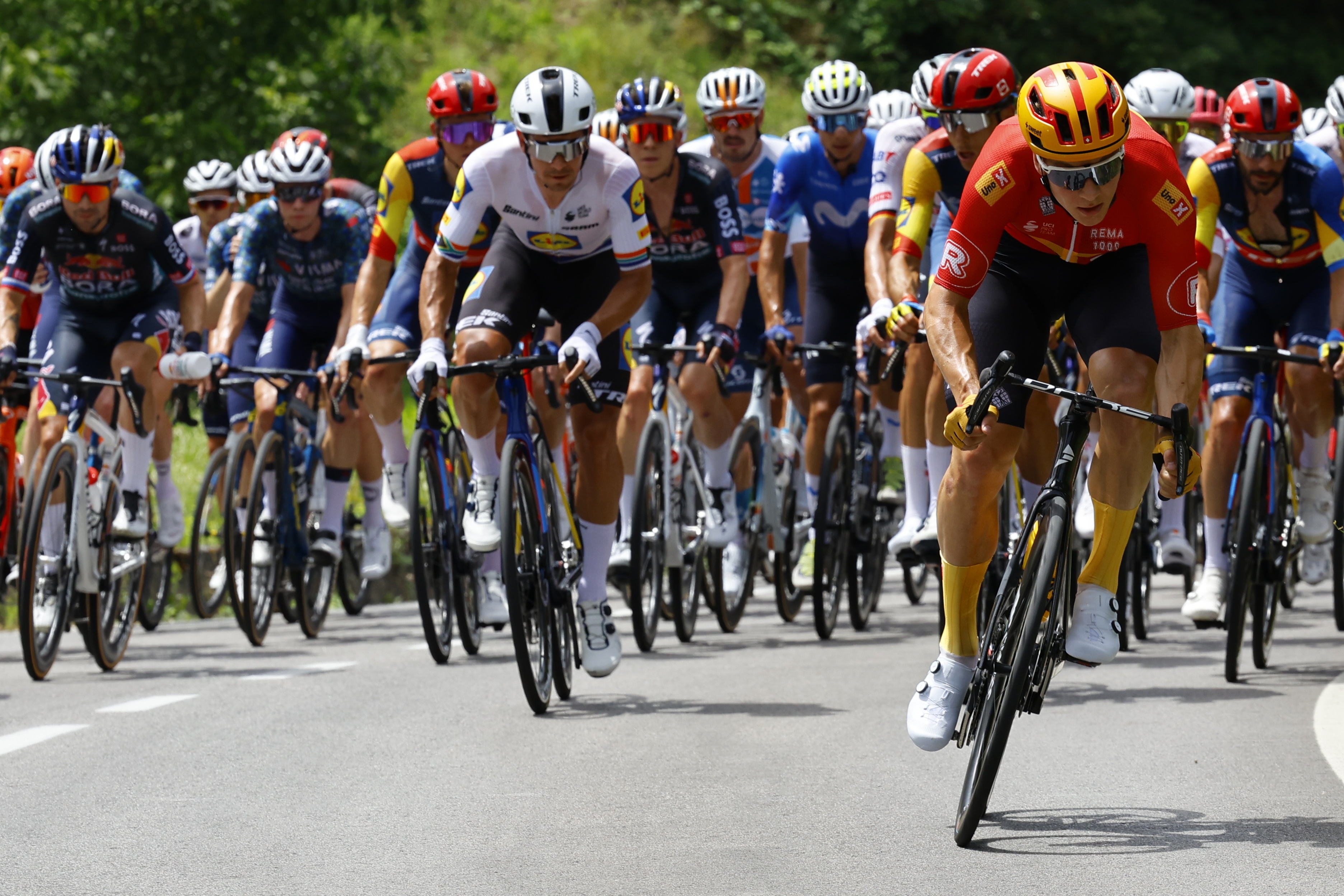 Florence (Italy), 29/06/2024.- The peloton in action during the first stage of the 2024 Tour de France cycling race over 206km from Florence to Rimini, Italy, 29 June 2024. (Ciclismo, Francia, Italia, Florencia) EFE/EPA/KIM LUDBROOK