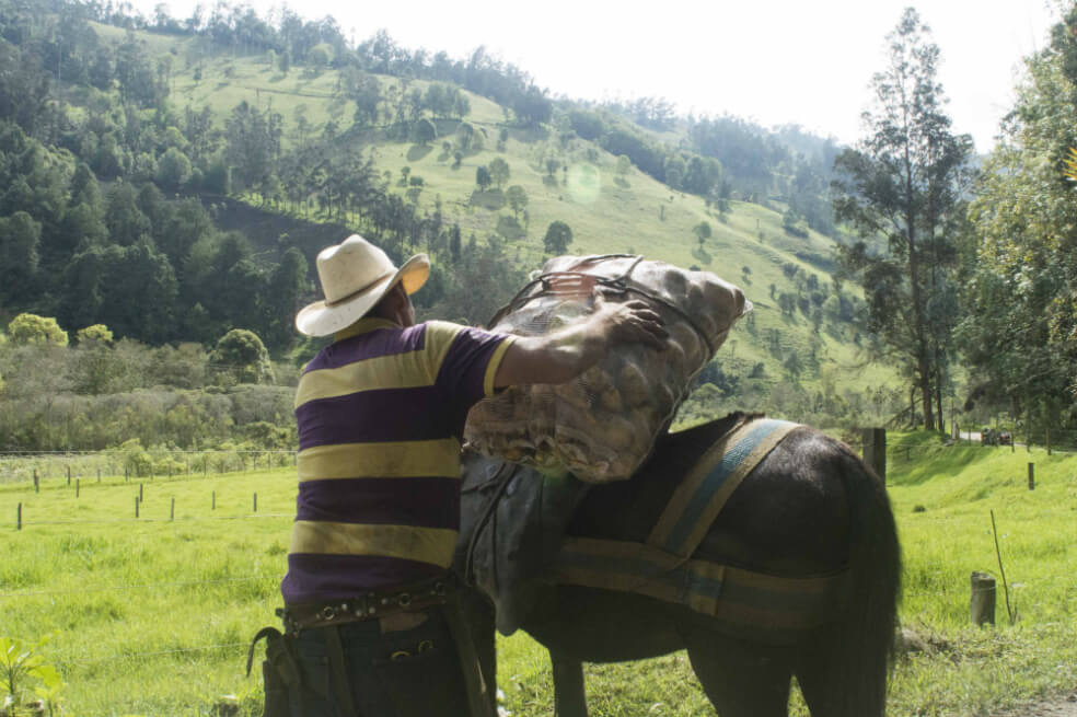 El último arriero de Cajamarca (Crónica)