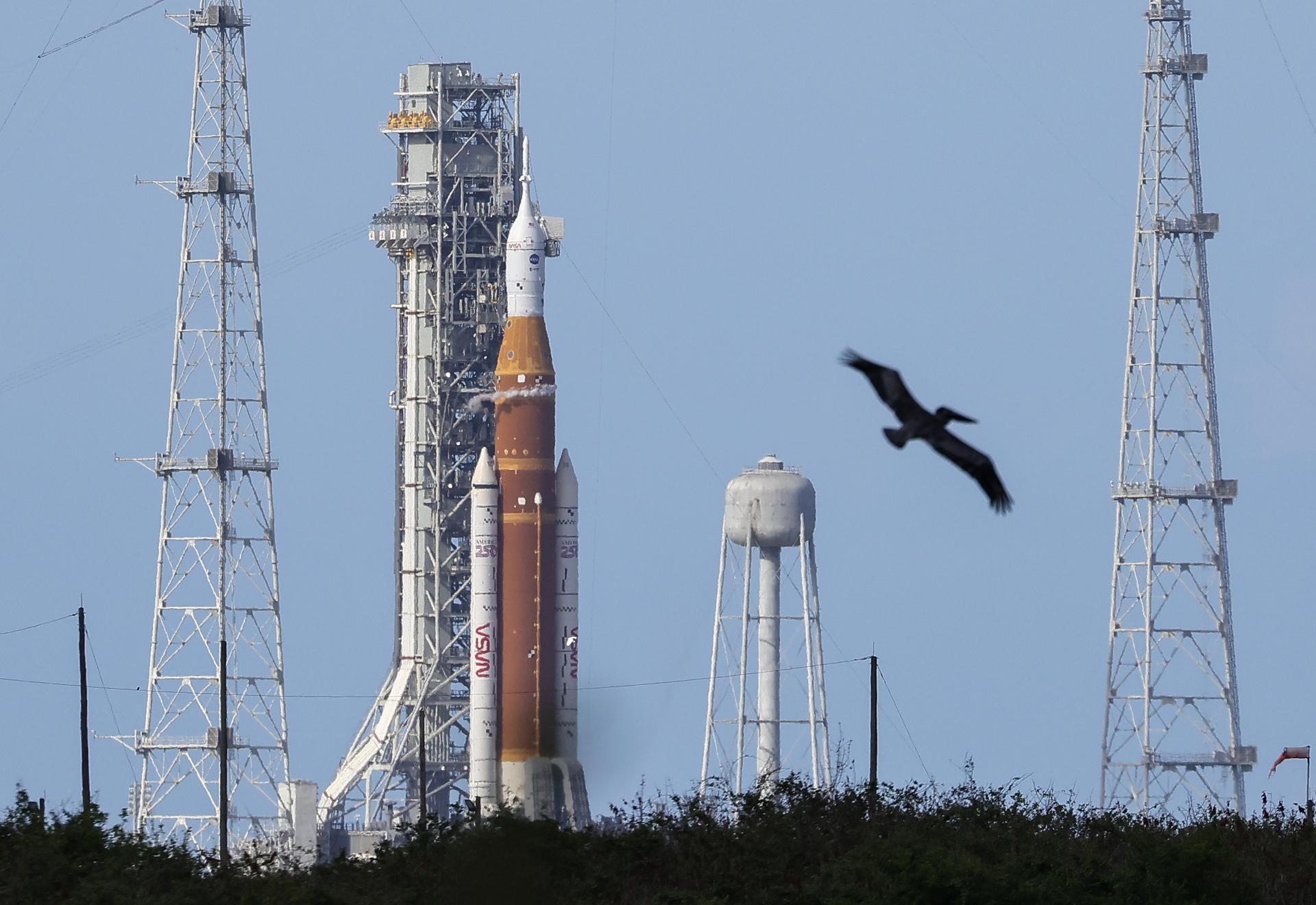 Artemis 2: ¿Dónde ver hoy en vivo y a qué hora el regreso de los cuatro astronautas?