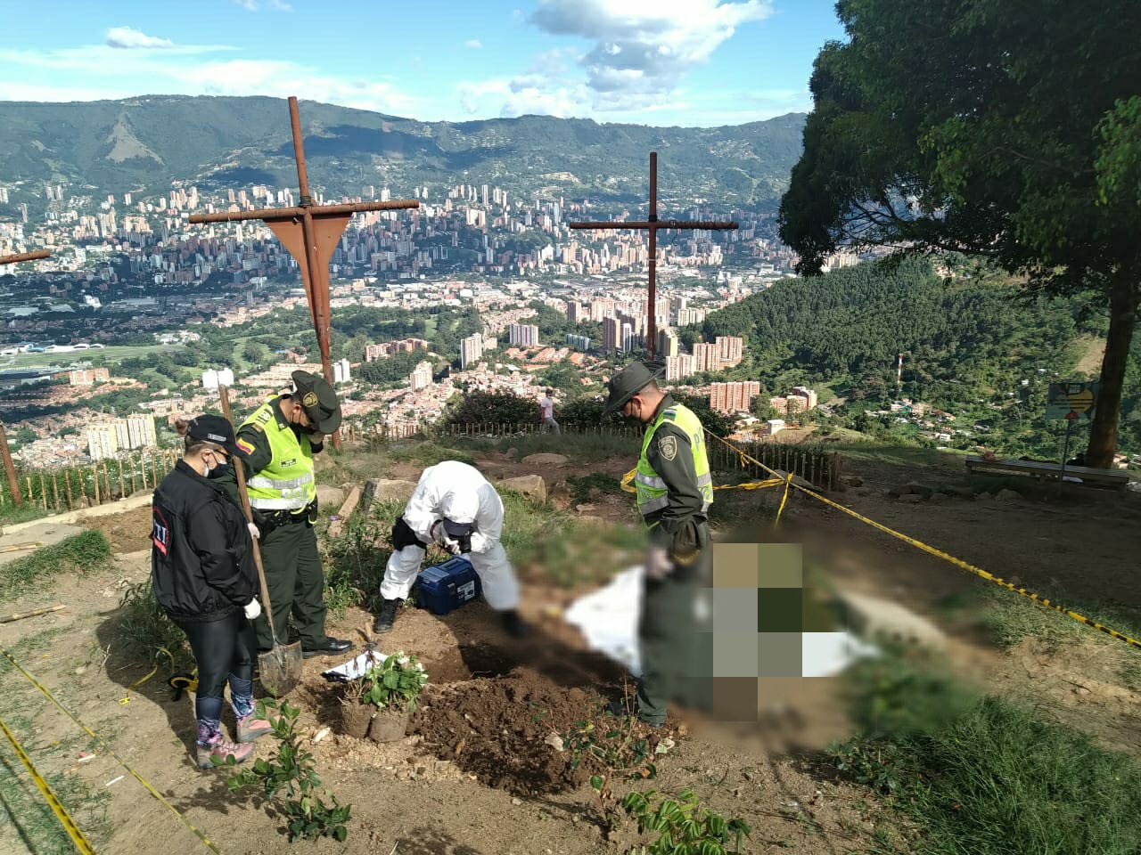 Encuentran a 43 gatos enterrados en el cerro de las Tres Cruces de Medellín