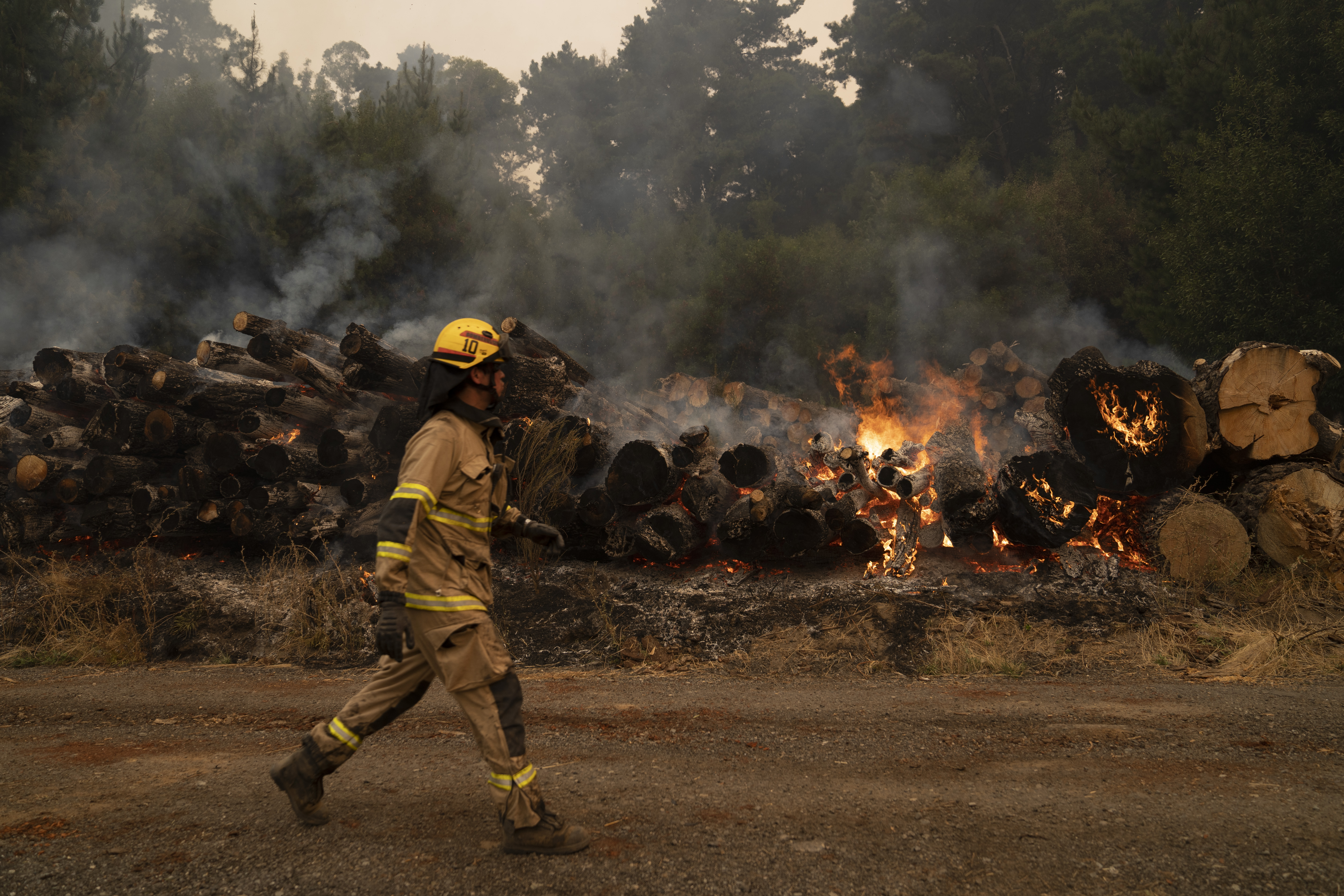 Chile: gobierno declara alerta por los incendios forestales