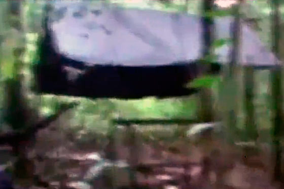 Descubren campamento donde Farc entrenaban a menores de edad