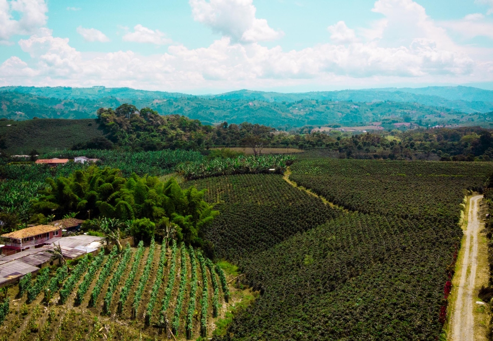 Turismo en el Eje Cafetero: el Gobierno ha invertido $21.793 millones