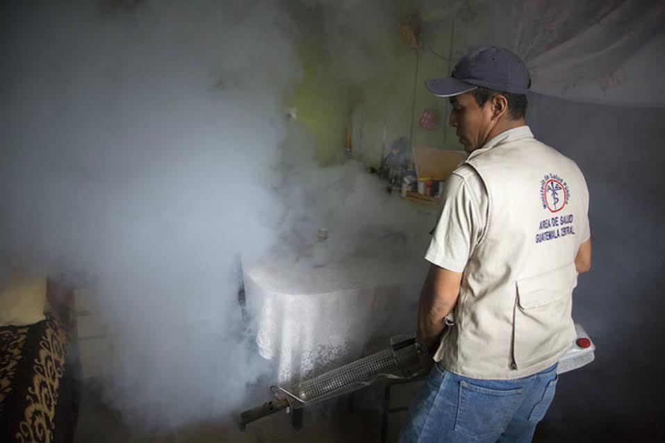 Científicos concluyen que una infección previa por dengue protege contra zika