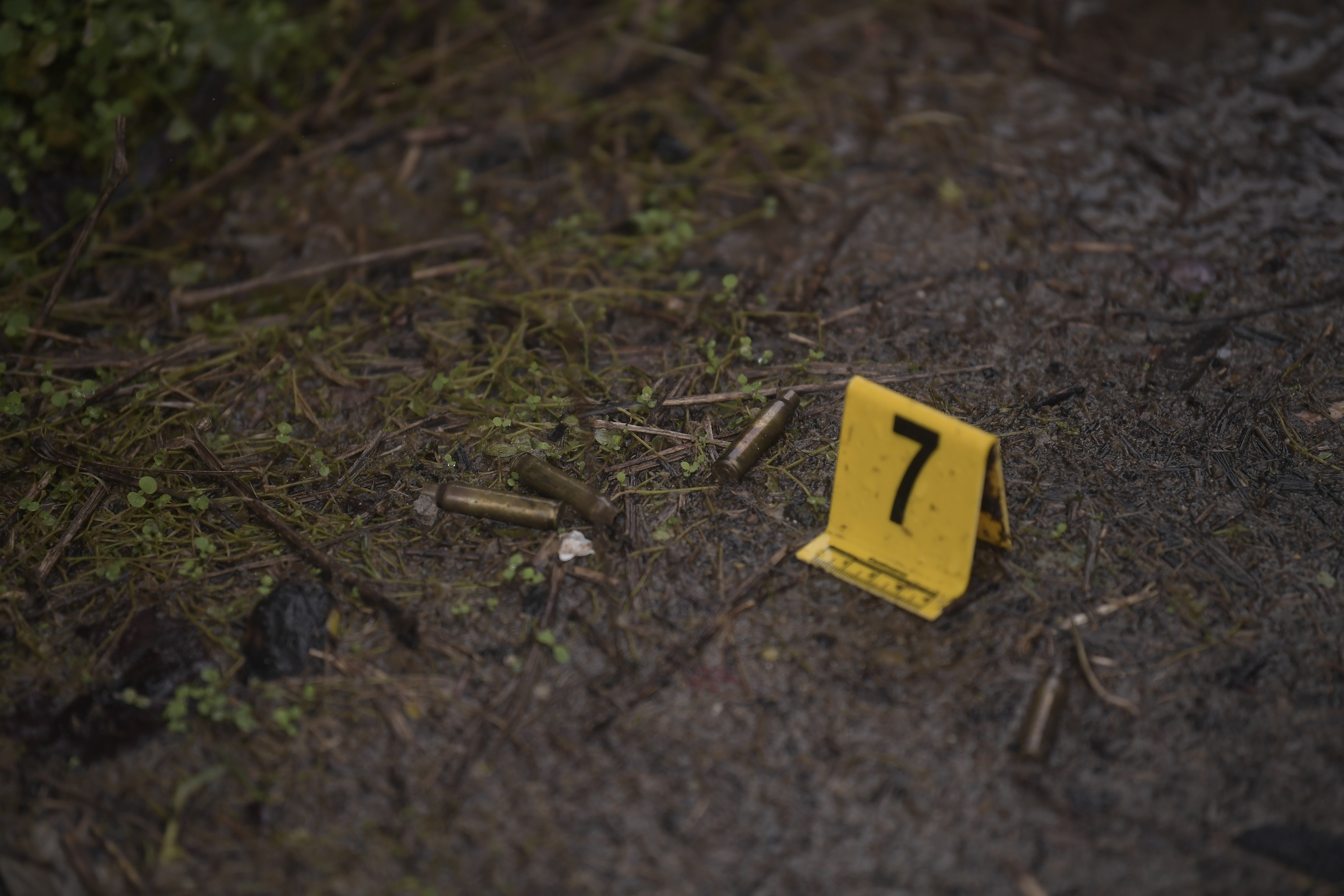 Tres personas fueron asesinadas en una casa en zona rural de Sevilla, Valle