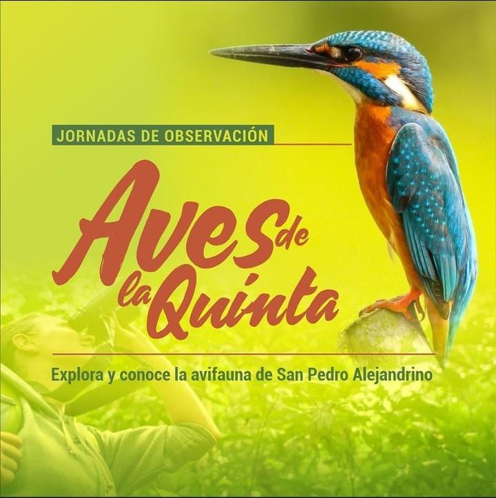 La Quinta de San Pedro Alejandrino, con su rica historia y biodiversidad, se posiciona así como un epicentro para la conservación, la educación y la investigación ornitológica