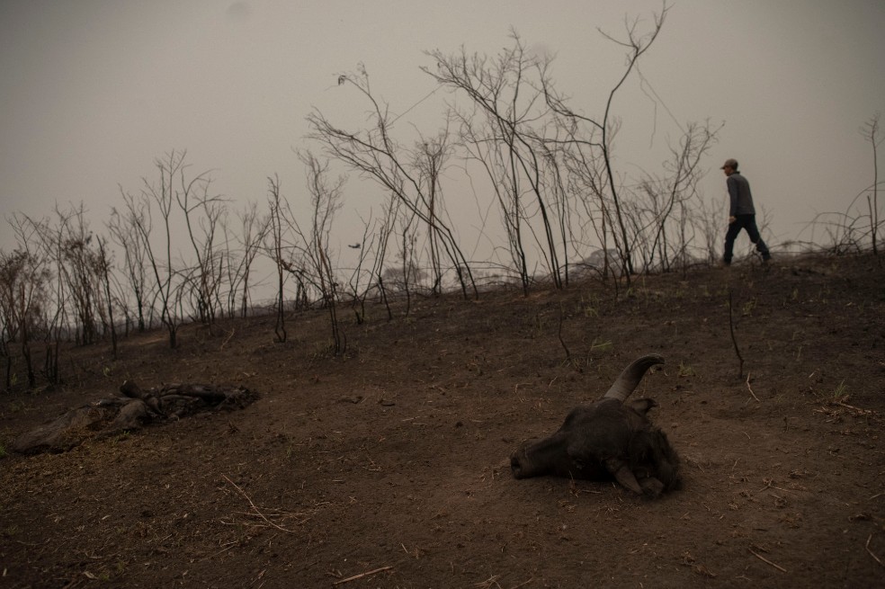Los incendios en el humedal más grande del mundo alcanzan nivel récord