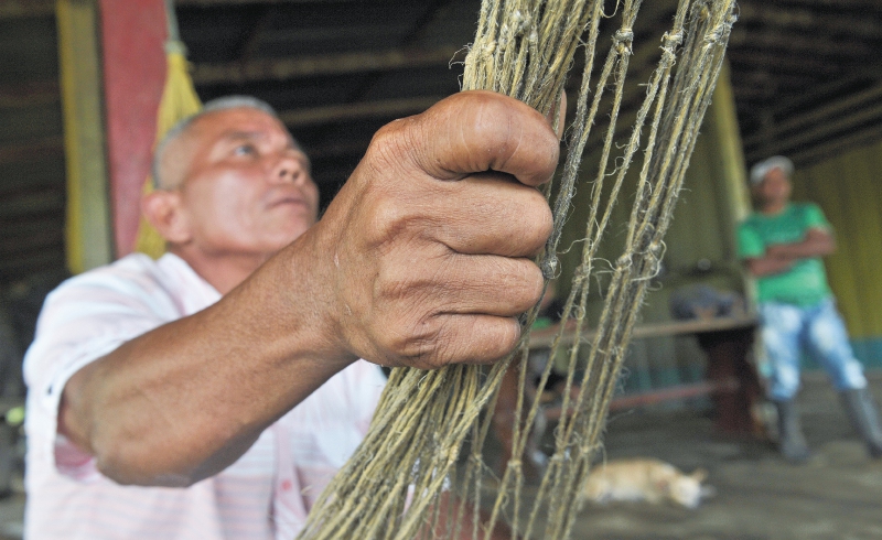 El camino para ser líder de restitución en Urabá