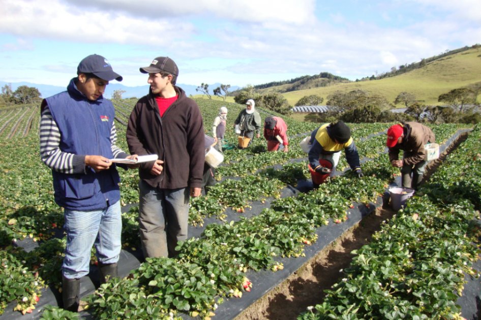Cooperativas, nuevo patrimonio cultural de la humanidad