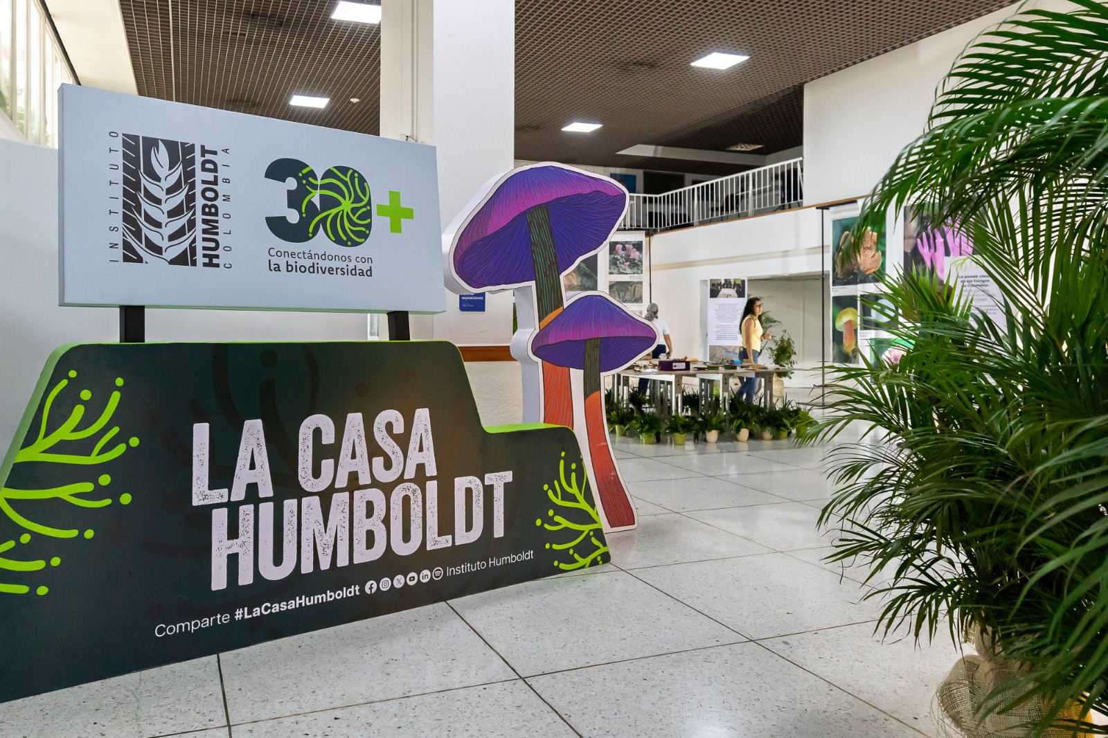 Estos serán los temas centrales en La Casa Humboldt, en Ibagué