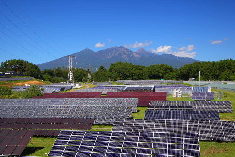 Empresas colombianas podrán contribuir a la lucha contra el cambio climático