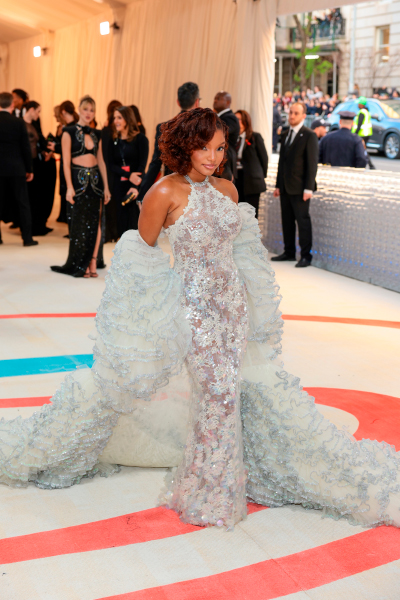 MET Gala 2023: todos los looks de la alfombra roja
