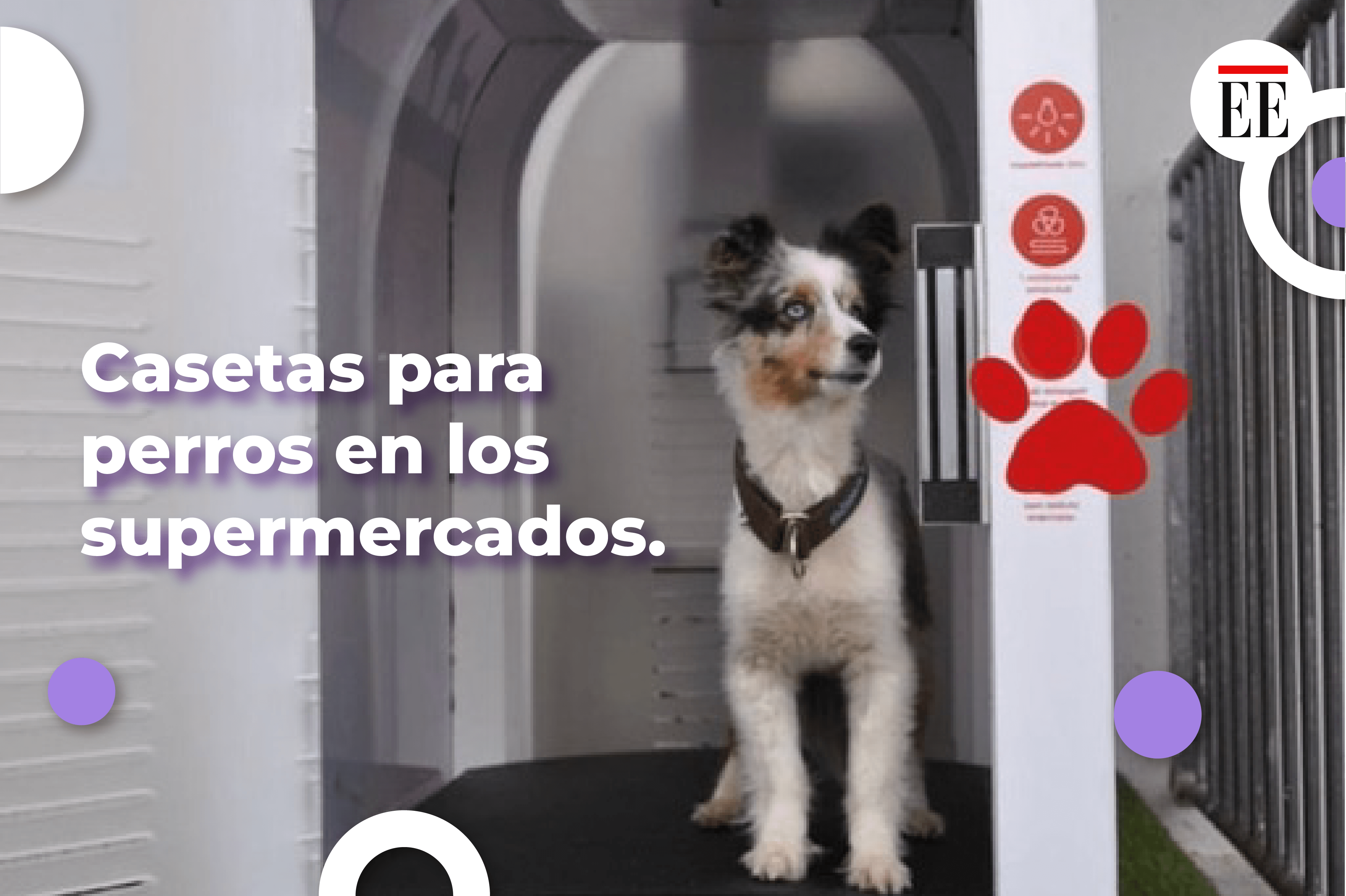 Casetas para dejar a los perros afuera de los supermercados: ¿una idea buena o mala?