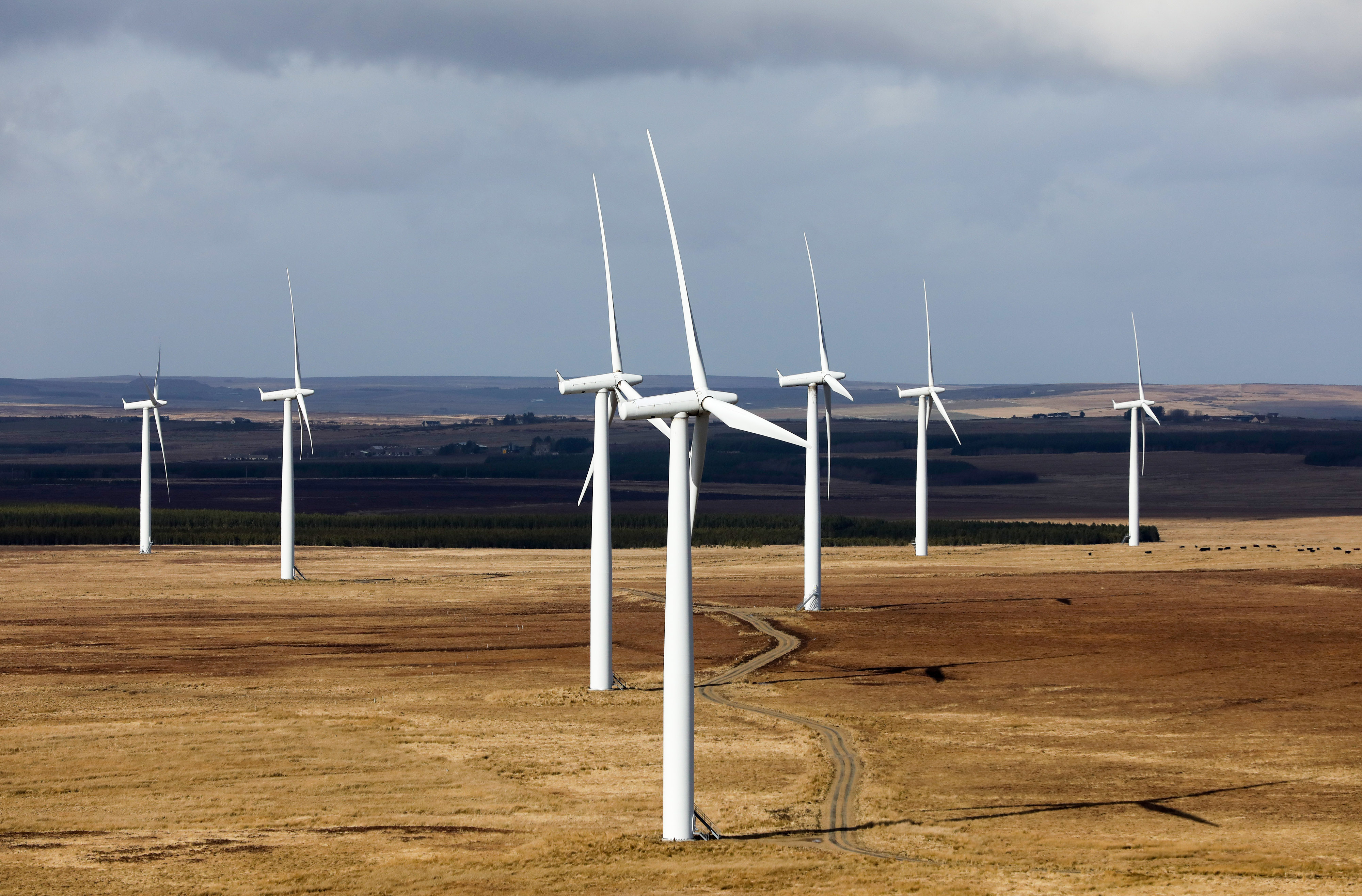 Energías renovables: ¿los obstáculos son económicos o políticos?