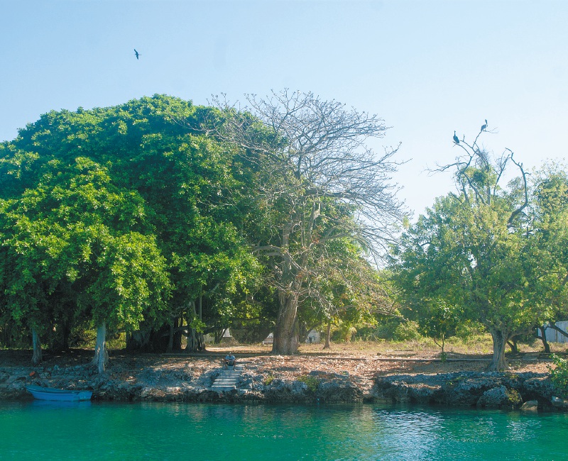 Denuncian al hermano del registrador por lío de arriendos de islas del Rosario