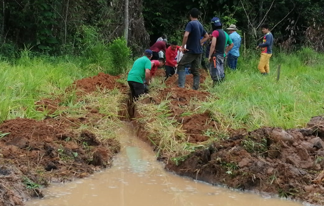 FARC pide a la JEP proteger a excombatientes fuera de espacios territoriales