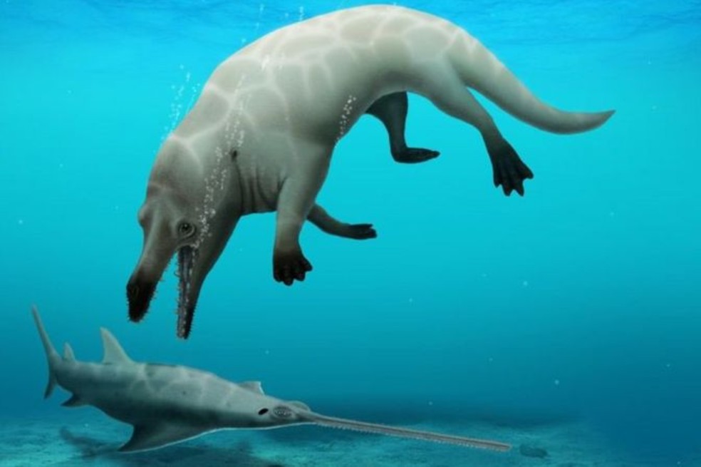 Encuentran fósil de una nueva especie de ballena de cuatro patas