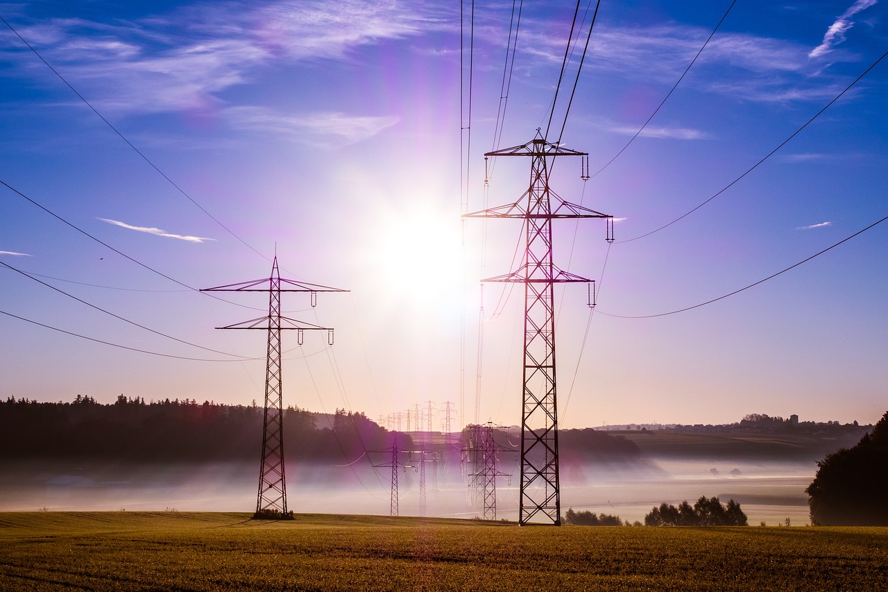 Son los encargados de que los sistemas eléctricos de manera correcta y segura.