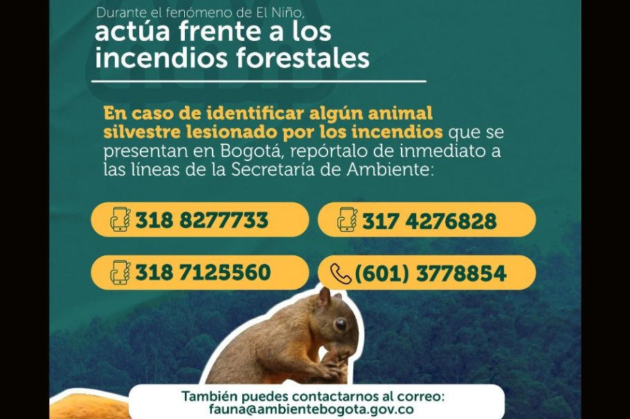 Cuida a los animales