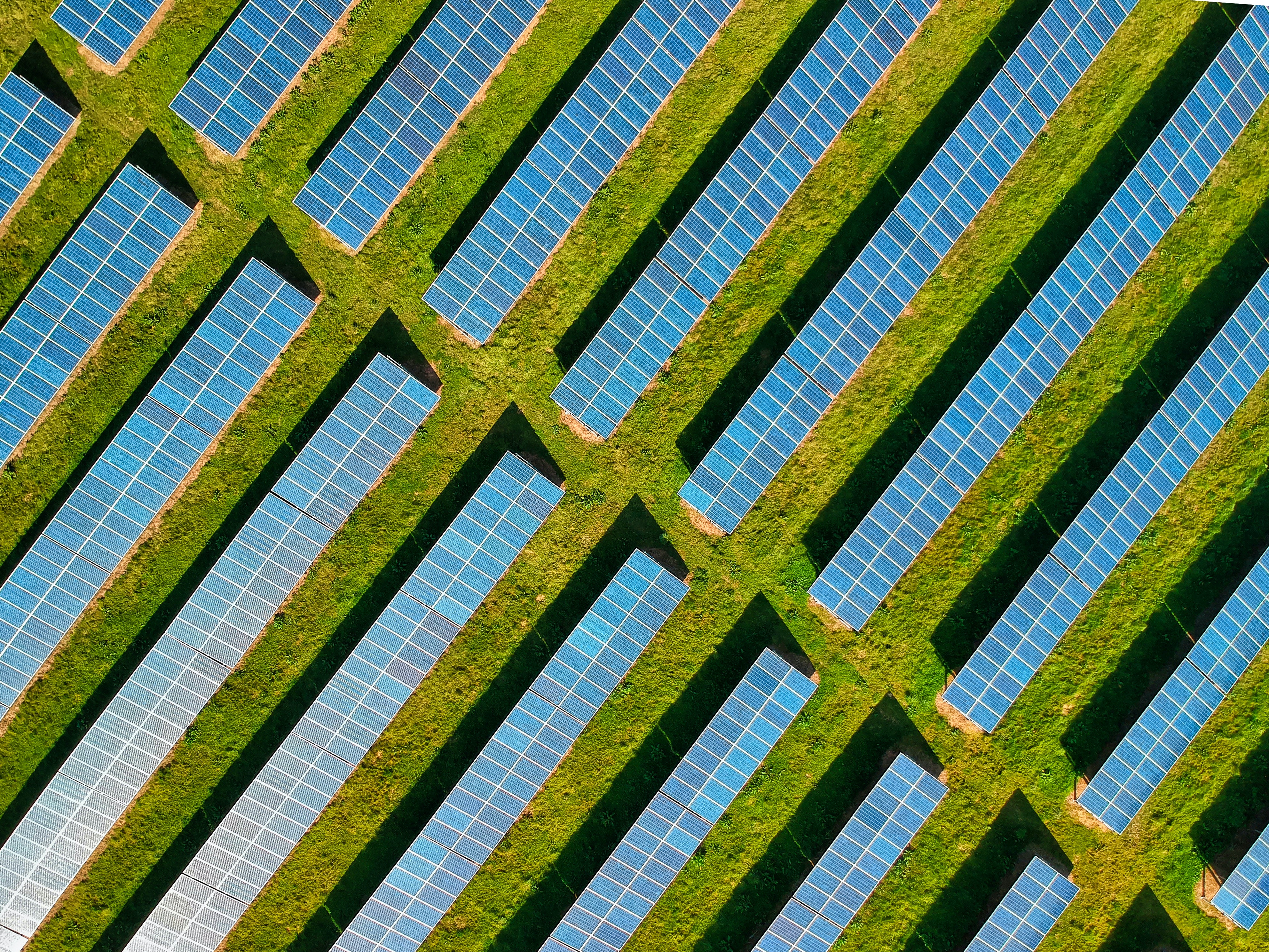 El papel de Colombia en la transición energética del mundo