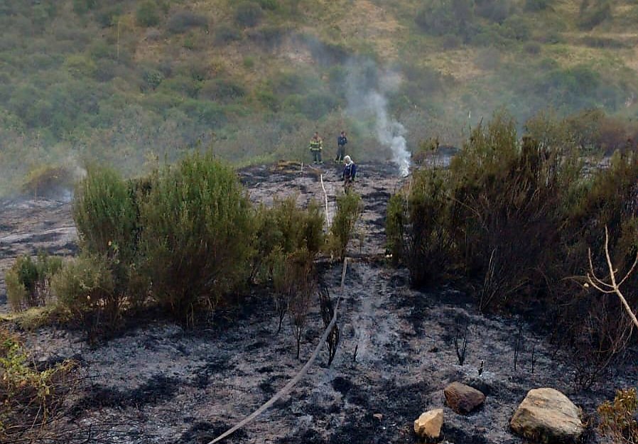 Bomberos controlan incendio forestal en la localidad de Usme