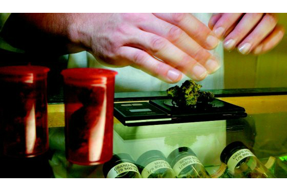 La marihuana medicinal y el nuevo enfoque antidrogas