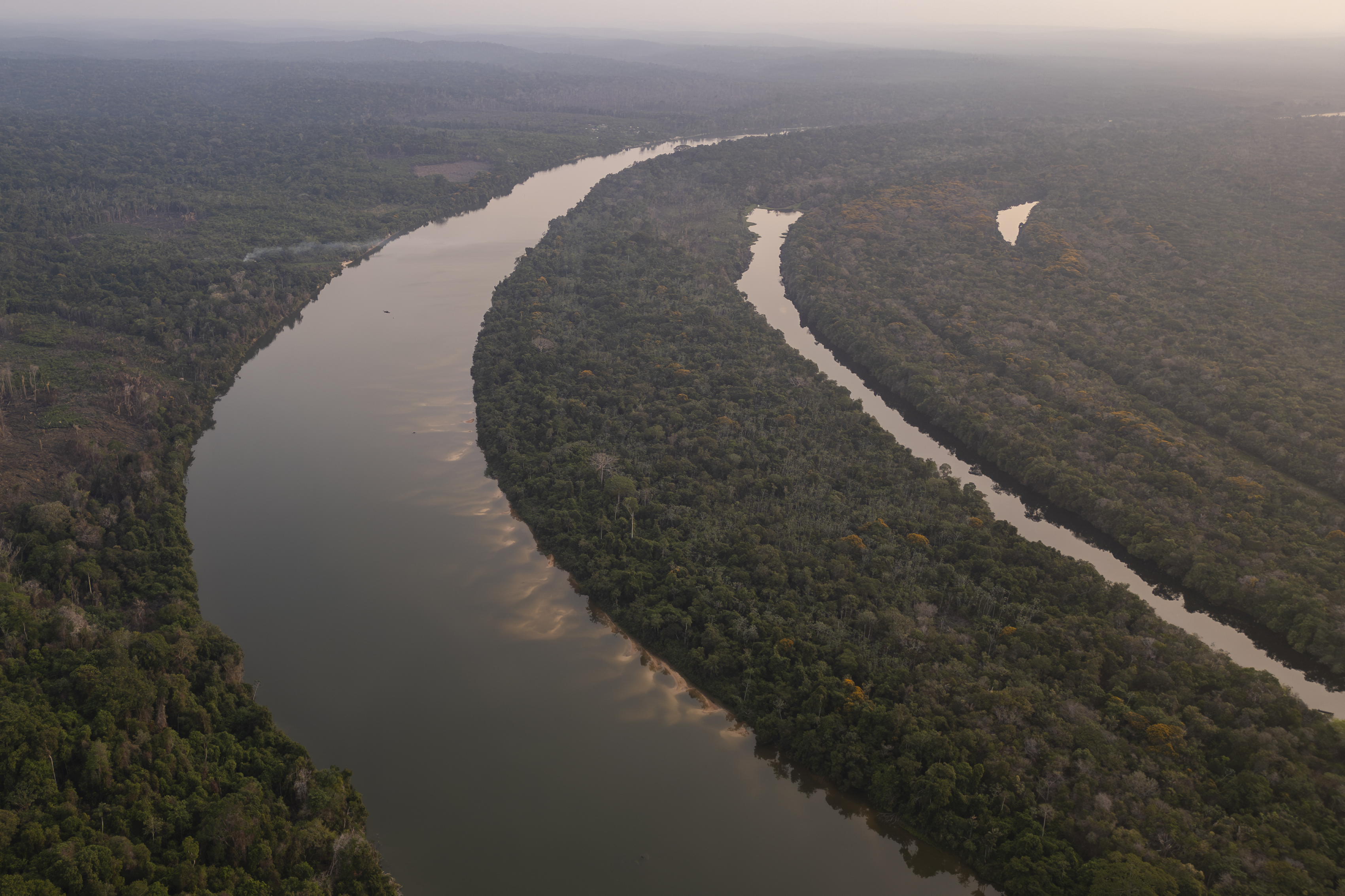 Urgente llamado para financiar la Amazonia: se necesitan 7.000 millones de USD al año