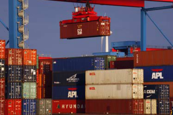 Comercio exterior chileno disminuye un 9,9 % en enero