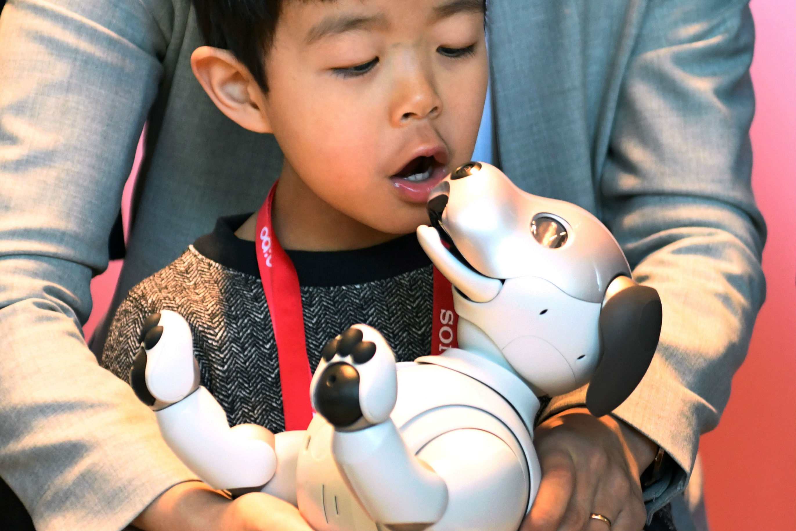 El perro robot, con inteligencia artificial, que es tendencia en Tokio