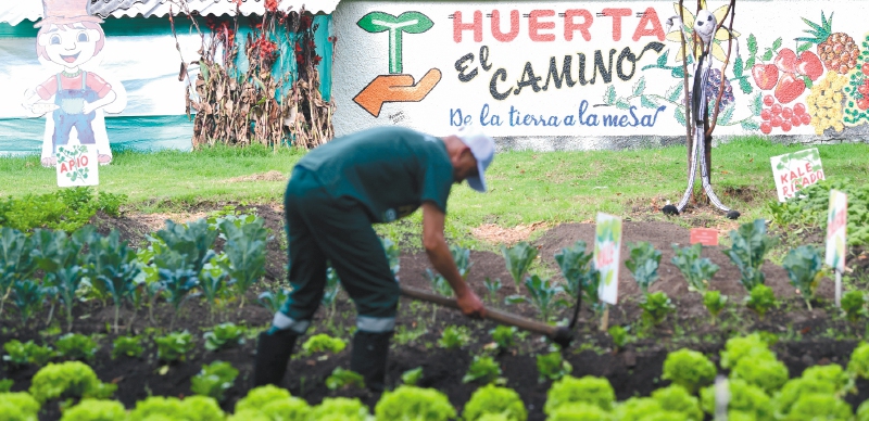 Rutas agroecológicas, nueva apuesta turística en Bogotá