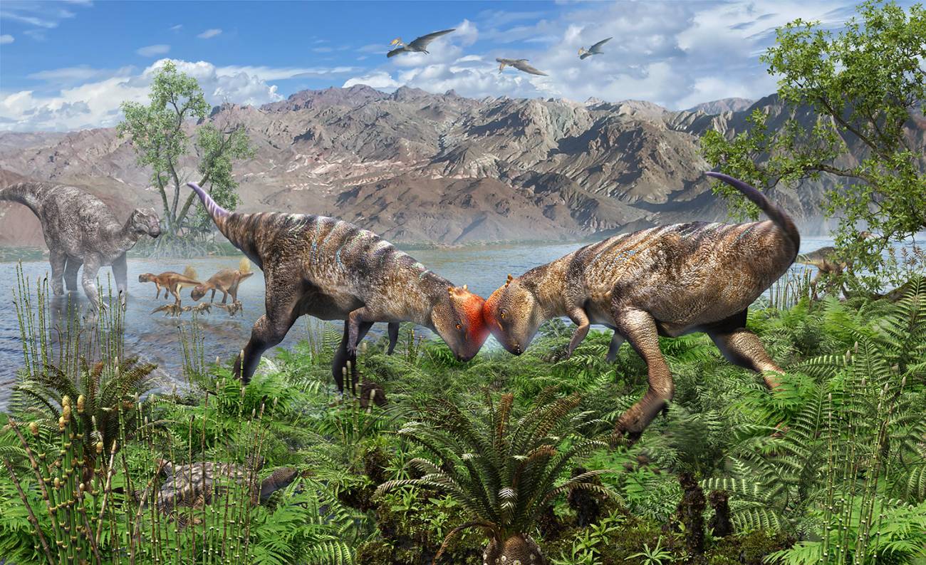 Hallan una nueva especie de dinosaurio reconocido por la forma de su cabeza