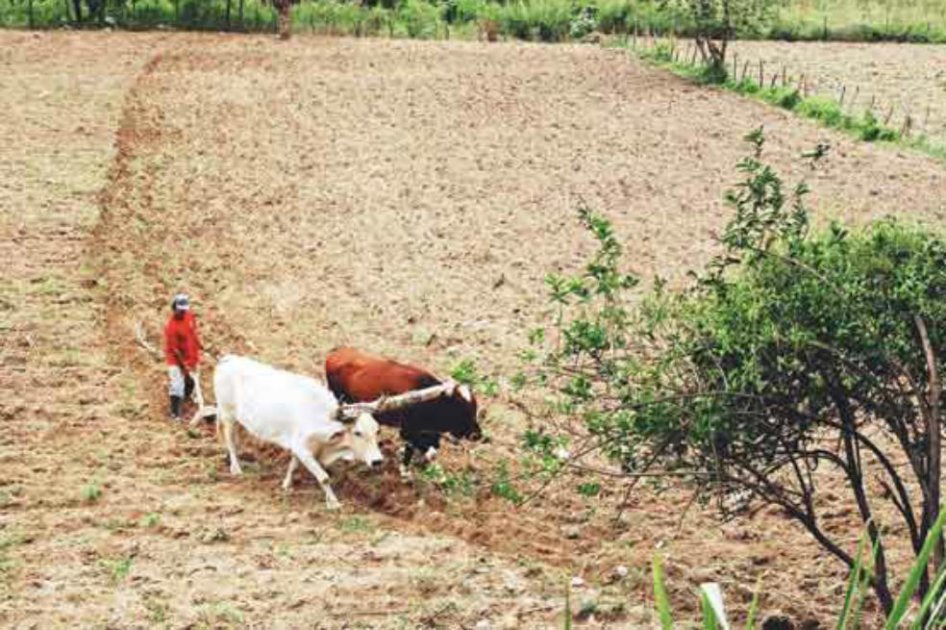 En firme proceso para recuperar tierras arrebatadas por los Castaño
