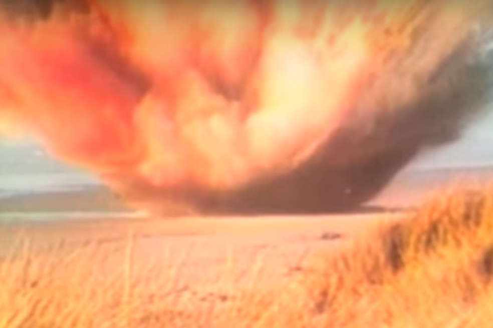 ¿Por qué es tan viral el video de «la ballena que explota»?