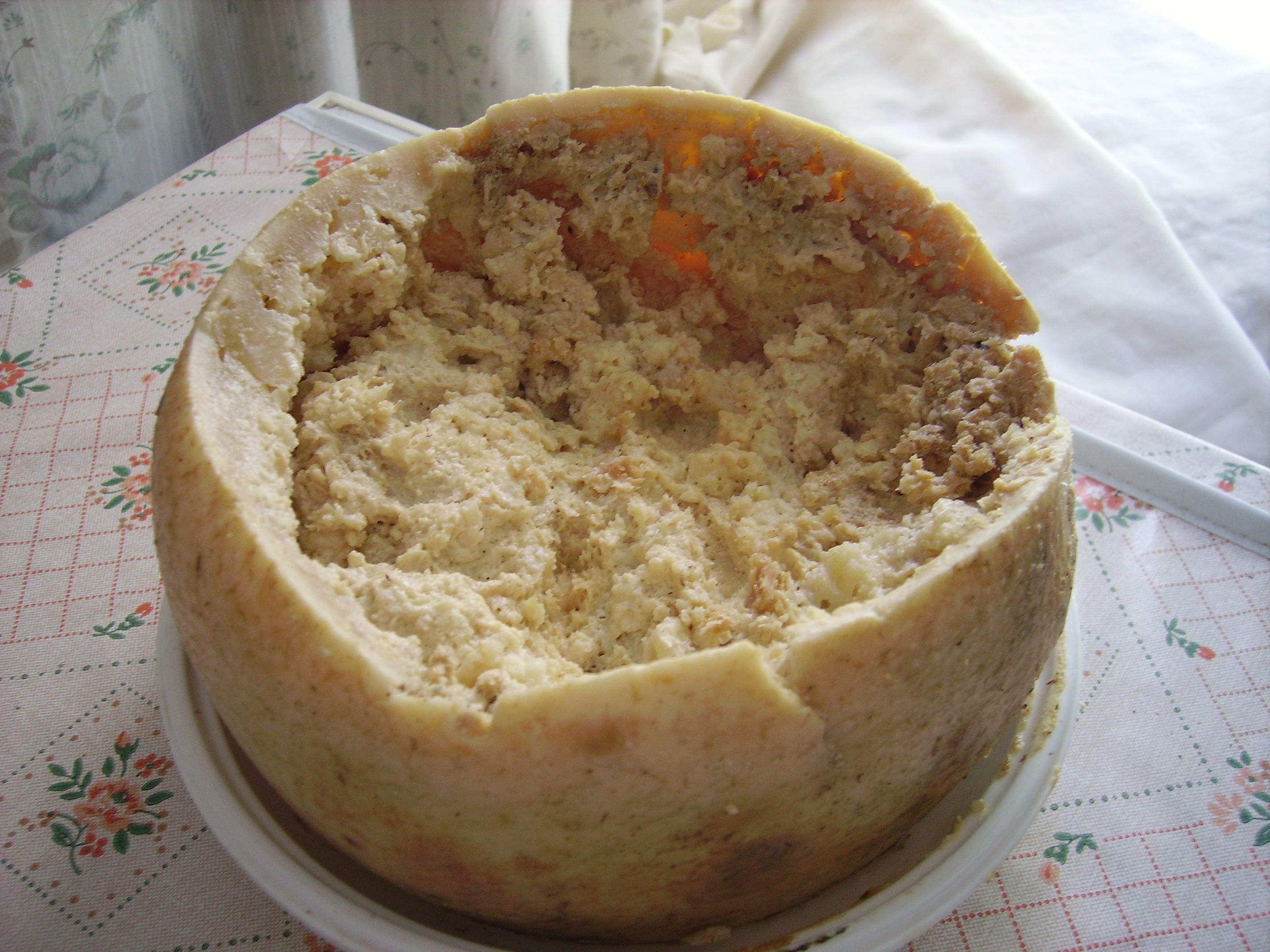 Conozca el queso “casu marzu”: el más peligroso del mundo