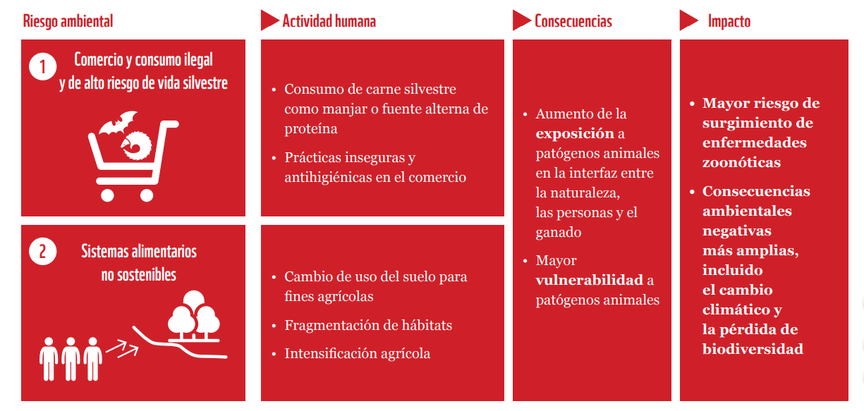 Estas son algunas de las actividades que deben cambiar según el informe.
