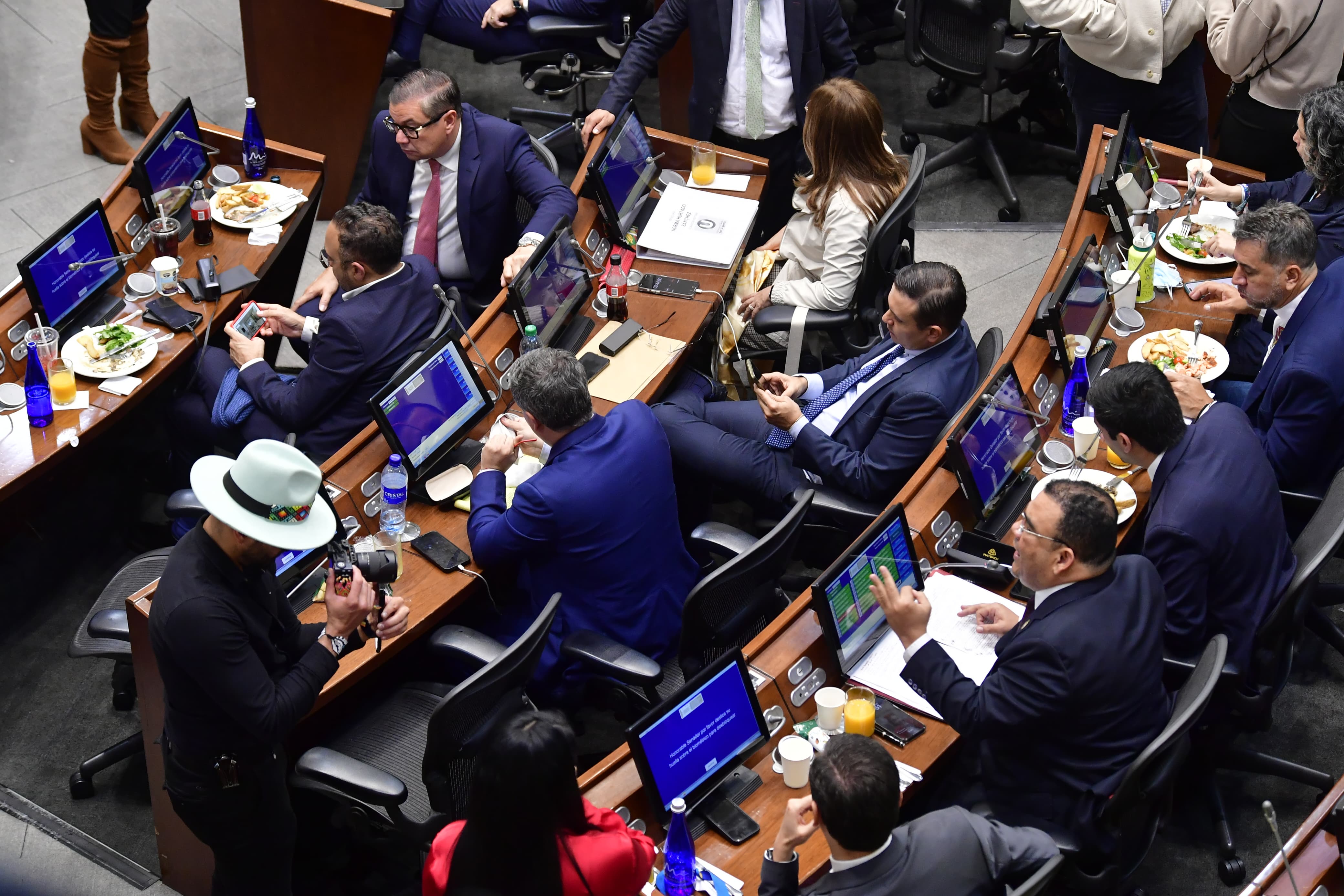 Debate de la consulta popular en la plenaria del Senado.
