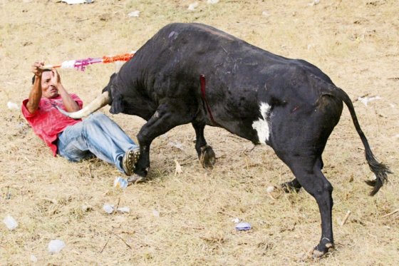 25 personas heridas dejan festejos taurinos en Turbaco, Bolívar