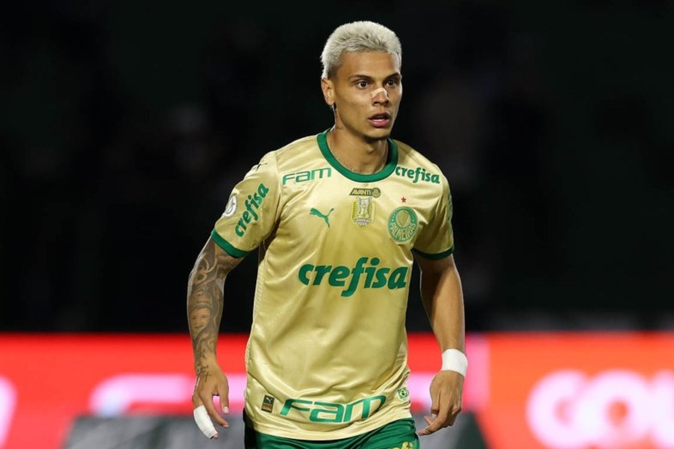 Botafogo va por el doblete, pero el Palmeiras de Richard Ríos sigue soñando