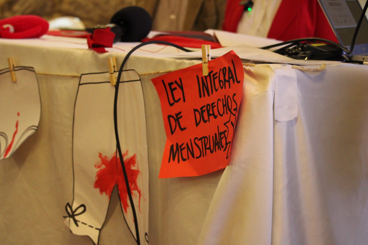 Derechos menstruales: el proyecto de ley que busca reconocerlos de manera integral