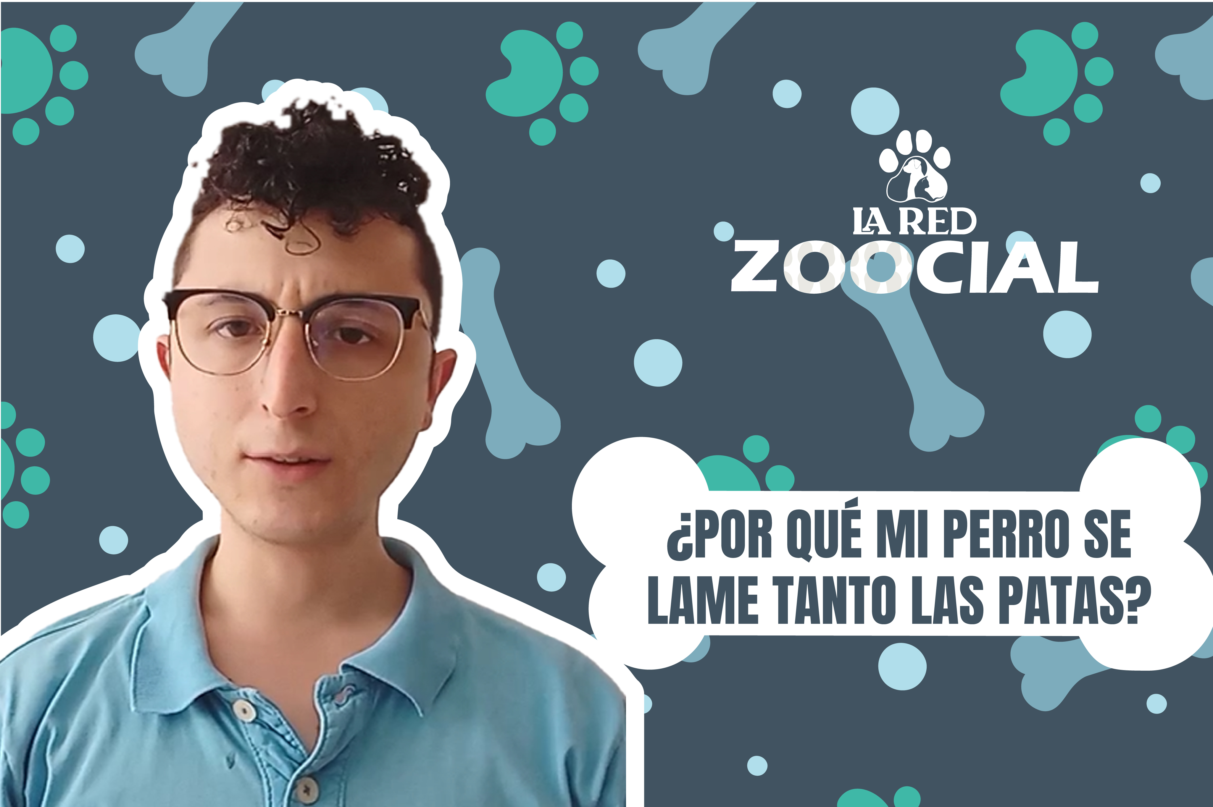 (VIDEO) ¿Por qué mi perro se lame tanto las patas? Causas y recomendaciones