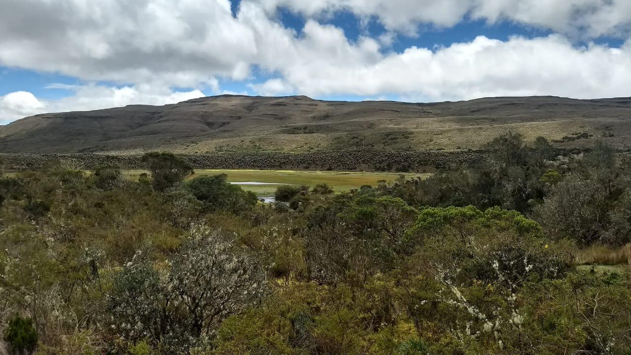 Conductas inadecuadas estarían ocasionando incendios forestales en el Páramo de Sumapaz