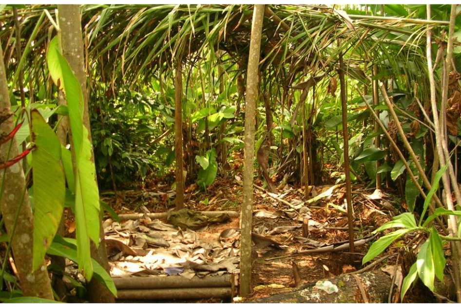 Desmantelan dos campamentos clandestinos de las Farc en el Meta