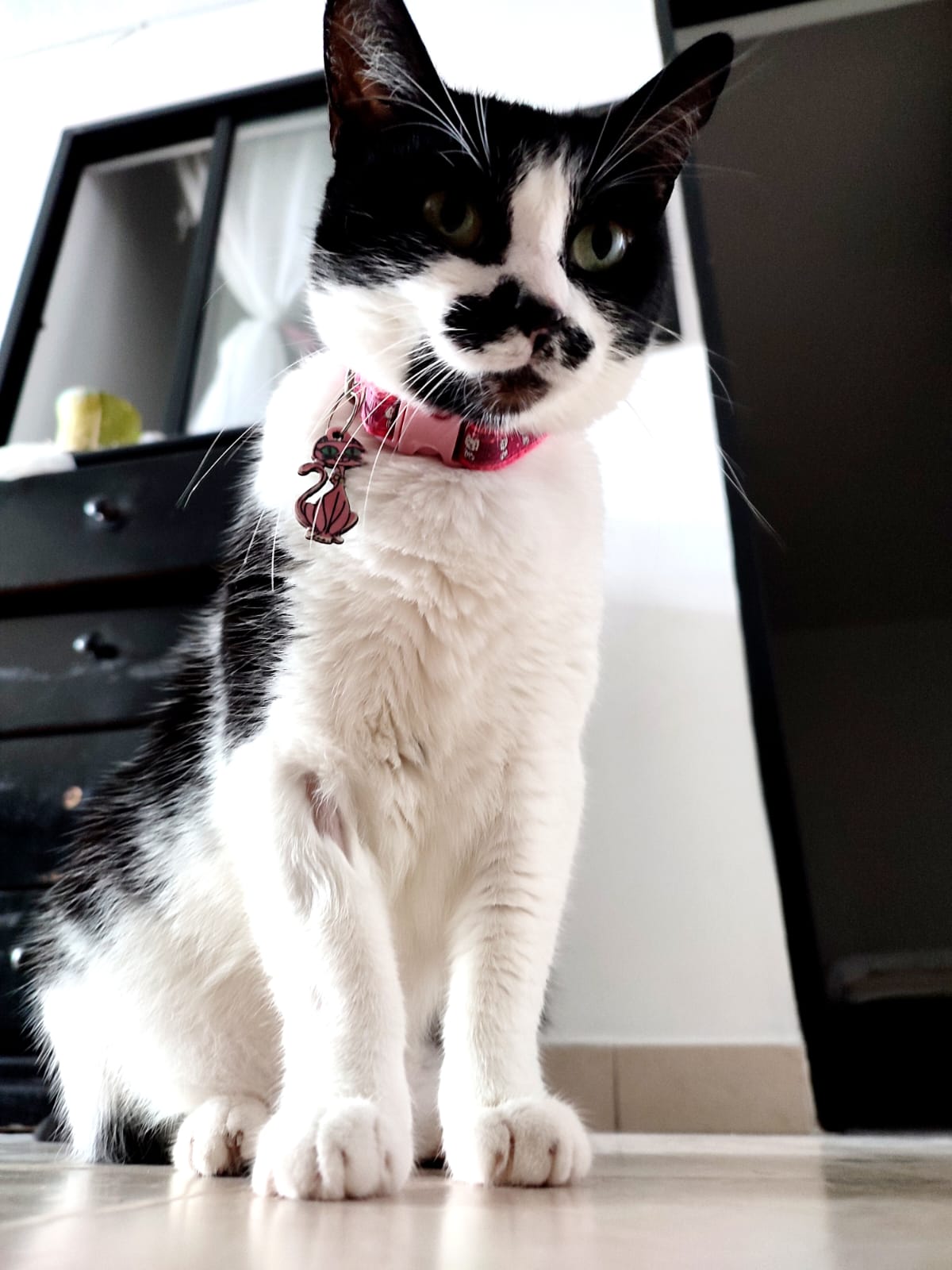 Mi segunda oportunidad con Lulu.
