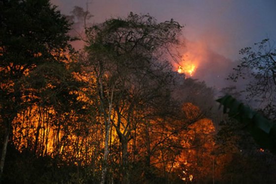 Aumentaron incendios forestales en el Valle entre enero y junio